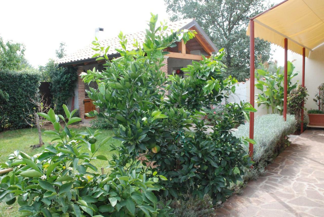 Apartmani Radin Rosini Bagian luar foto